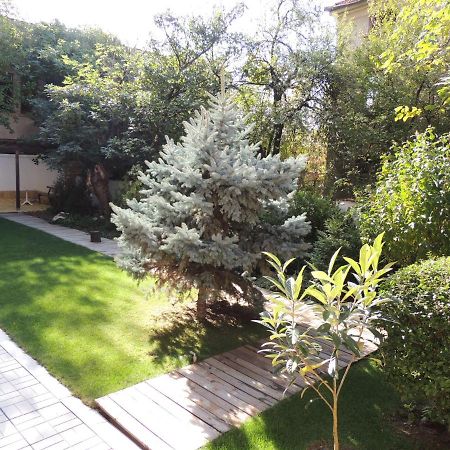 Apartament Fantasy היסריה מראה חיצוני תמונה